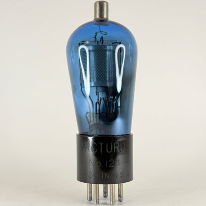 (1) Tested Strong Arcturus Type 24 Tube Blue Arcturus Type 124 Globe Tube (h)