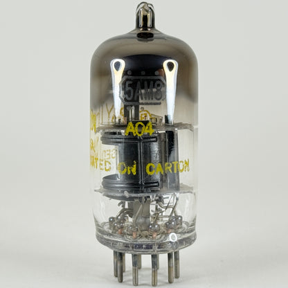 (1) Tested Raytheon 5AM8 Tube with Box Code A04 5AM8 Pentode Vacuum Tube