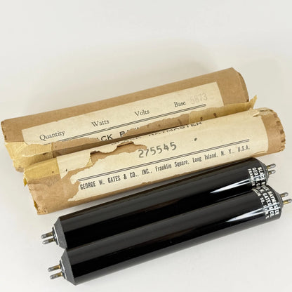 Antique Vintage Black Raymaster 275545 UV Bulbs Lamps 5873 George Gates & Co