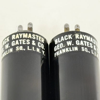 Antique Vintage Black Raymaster 275545 UV Bulbs Lamps 5873 George Gates & Co